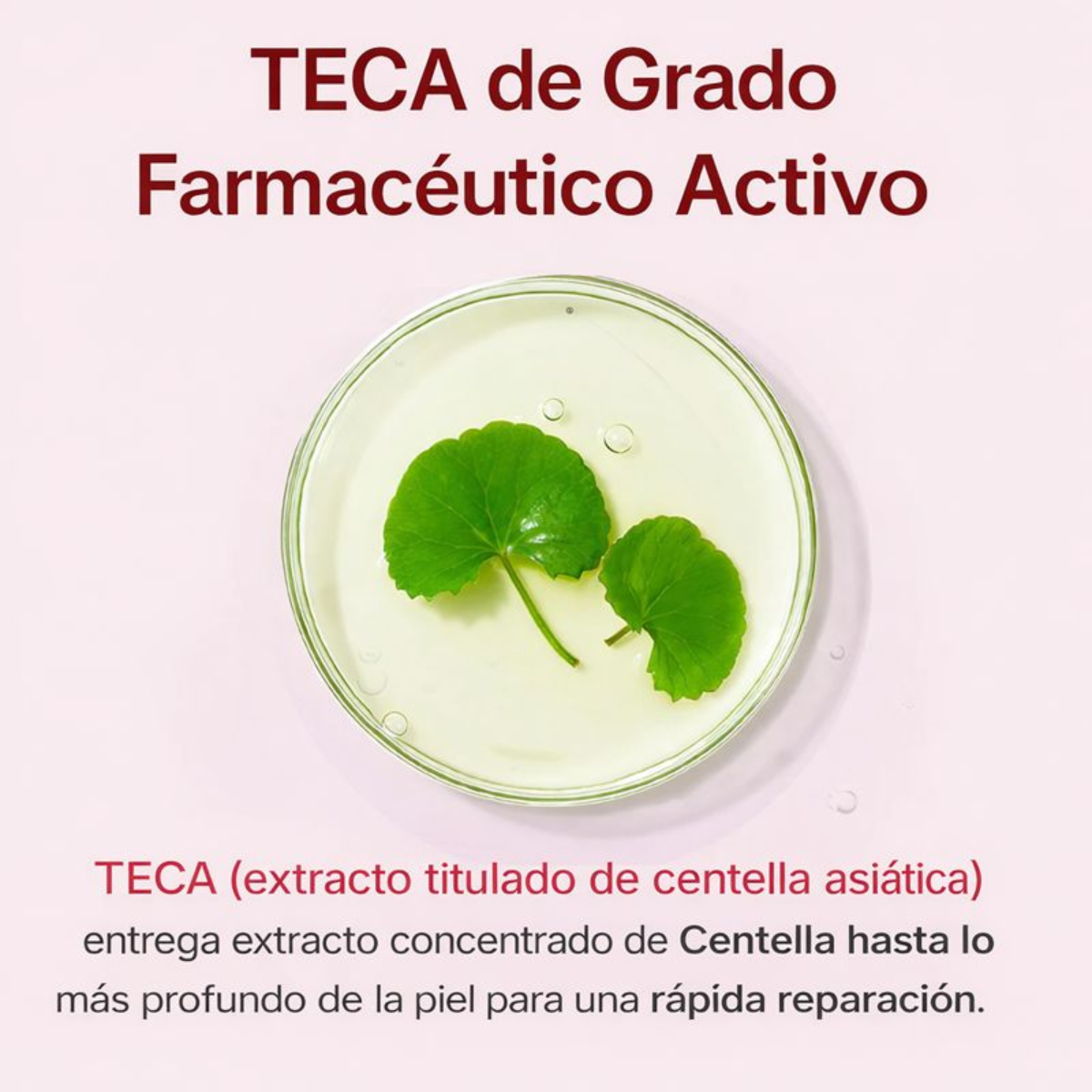 Crema Madeca Time Reverse (50 ml)